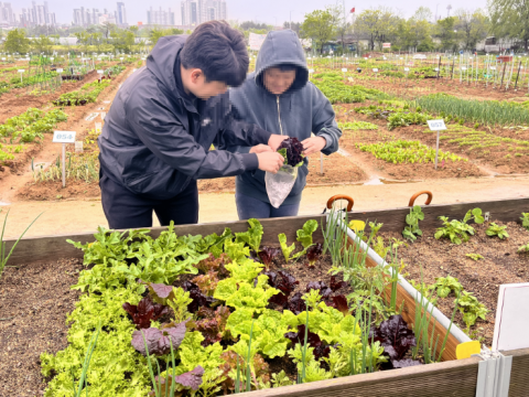 5월 텃밭 활동 사진
