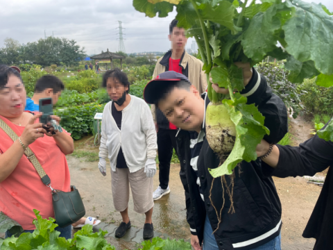10월 텃밭 교실 활동 사진